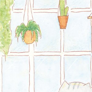 画像10: 向日葵きのこ：ポストカード　縦タイプ　くつろぎ部屋 (10)
