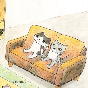 画像9: 向日葵きのこ：ポストカード　横タイプ　猫部屋 (9)