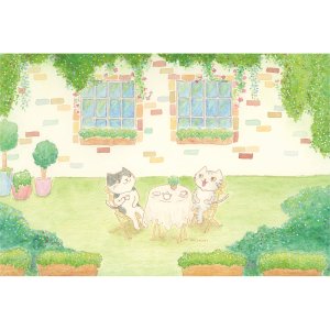 画像5: 向日葵きのこ：ポストカード　横タイプ　ティータイム (5)