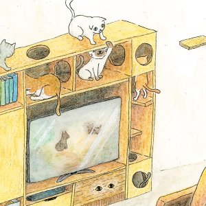 画像8: 向日葵きのこ：ポストカード　横タイプ　猫部屋 (8)