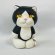 画像5: Nick9：樹脂のフィギュア　ねこのあきんこ　クロはちわれ (5)