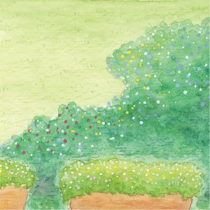 画像9: 向日葵きのこ：ポストカード　横タイプ　ティータイム (9)
