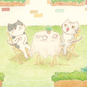画像6: 向日葵きのこ：ポストカード　横タイプ　ティータイム (6)