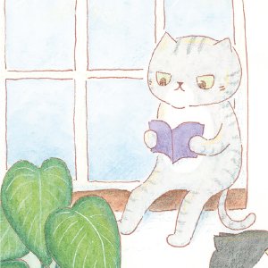 画像7: 向日葵きのこ：ポストカード　縦タイプ　くつろぎ部屋 (7)