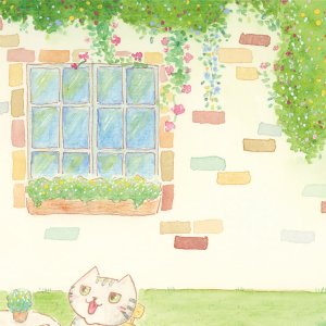 画像8: 向日葵きのこ：ポストカード　横タイプ　ティータイム (8)