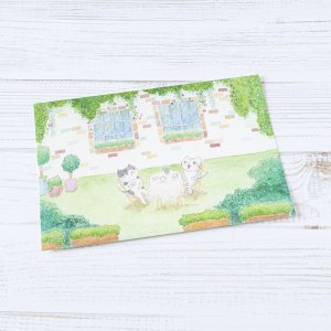 画像4: 向日葵きのこ：ポストカード　横タイプ　ティータイム (4)