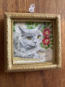 画像1: ドレミかんぱにー：水彩画・原画「ブリティッシュショートヘアと薔薇」（一部寄付） (1)