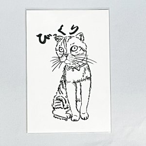 画像2: Nick9：イラストレータープルのポストカードセットA (2)