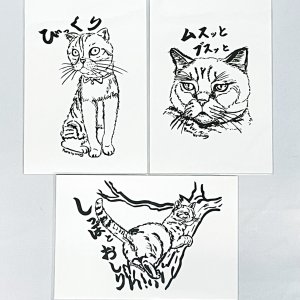 画像1: Nick9：イラストレータープルのポストカードセットA (1)