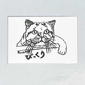 画像4: Nick9：イラストレータープルのポストカードセットB (4)
