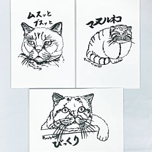 画像1: Nick9：イラストレータープルのポストカードセットB (1)