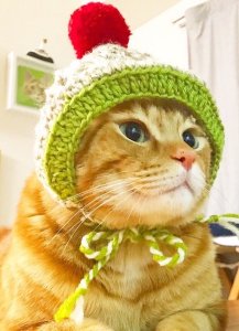画像1: エビコのてしごと：ねこずきん（キミドリ） (1)