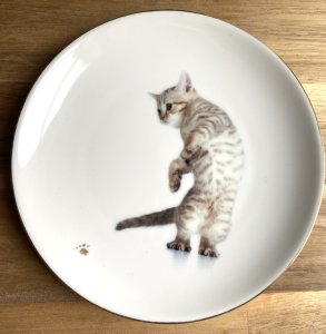 画像1: Renon：猫の小皿【2】「全額寄付」 (1)