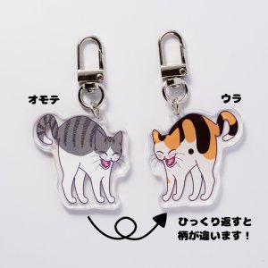 画像4: mofu-moe：アクリルキーホルダー4個セット「全額寄付」 (4)