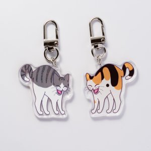 画像1: mofu-moe：アクリルキーホルダー のび猫【表：サバ白　裏：三毛】 (1)