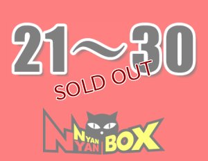 画像1: にゃんにゃんBOX(送料込み)「通常BOX 」No.21-30 (1)