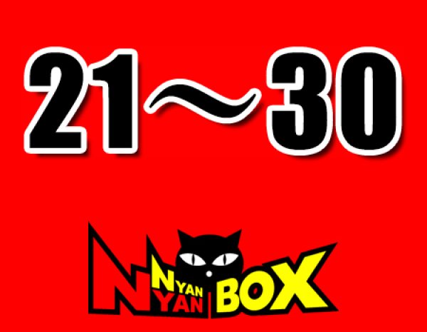 画像1: にゃんにゃんBOX(送料込み)「通常BOX 」No.21-30 (1)