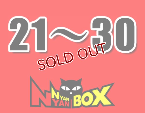 画像1: にゃんにゃんBOX(送料込み)「通常BOX 」No.21-30 (1)