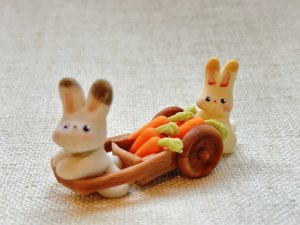 画像1: 友夢：おいしい人参とうさぴょん「大量」（全額寄付） (1)