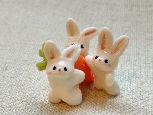 画像1: 友夢：おいしい人参とうさぴょん「一本いかが？」（全額寄付） (1)