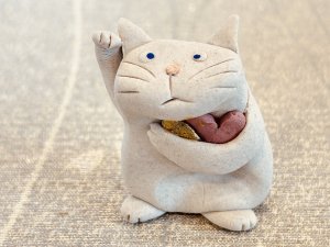 白猫