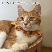 画像3: *REI*：商品名（通常Ver.）