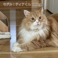 画像3: sayco：商品名（バリエーションVer.）
