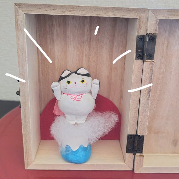 画像1: 招福スパにゃん（ハチワレ/箱入り）一部寄付「送料込み」 (1)