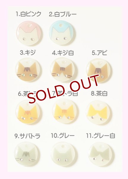 画像2: 猫用迷子札名入れオーダー【キラキラお目々の猫ちゃん】一部寄付 (2)