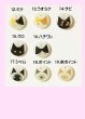 画像3: 猫用迷子札名入れオーダー【キラキラお目々の猫ちゃん】一部寄付 (3)