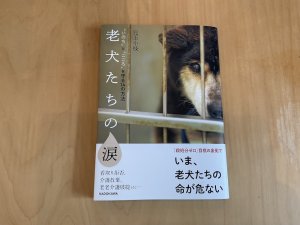 画像1: 児玉小枝：書籍「老犬たちの涙 “いのち”と“こころ”を守る14の方法」直筆サイン・メッセージ入り (1)