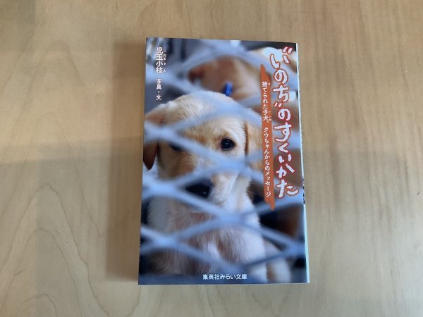 画像1: 児玉小枝：書籍「“いのち”の すくいかた〜捨てられた子犬、クウちゃんからのメッセージ〜」 (1)