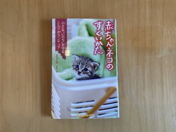 画像1: 児玉小枝：書籍「赤ちゃんネコのすくいかた 〜小さな“いのち”を守る、ミルクボランティア〜」 (1)