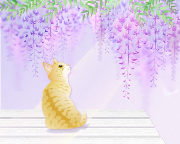 画像1: ６切イラスト＜藤＞ (1)