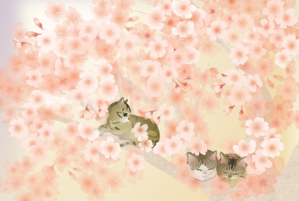 画像1: ポストカード＜桜　お昼寝＞ (1)