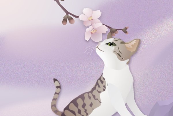 画像1: ポストカード ＜開花＞ (1)