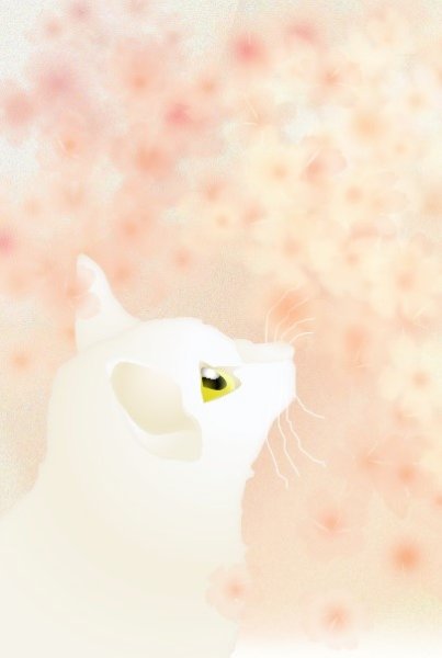画像1: ポストカード ＜桜　白猫＞ (1)