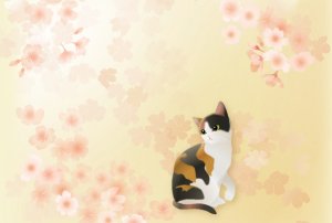 画像1: ポストカード＜桜　三毛猫＞ (1)