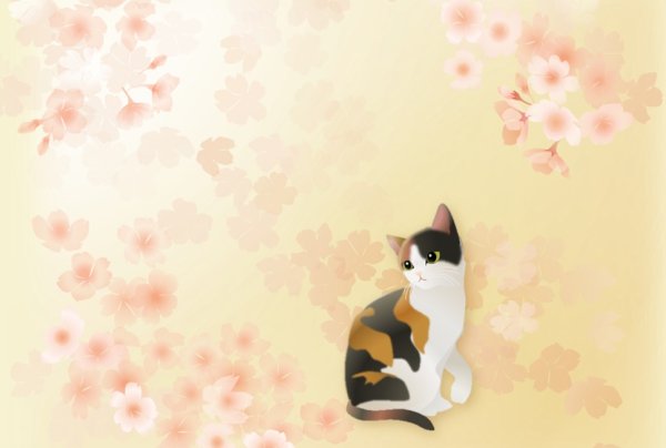 画像1: ポストカード＜桜　三毛猫＞ (1)