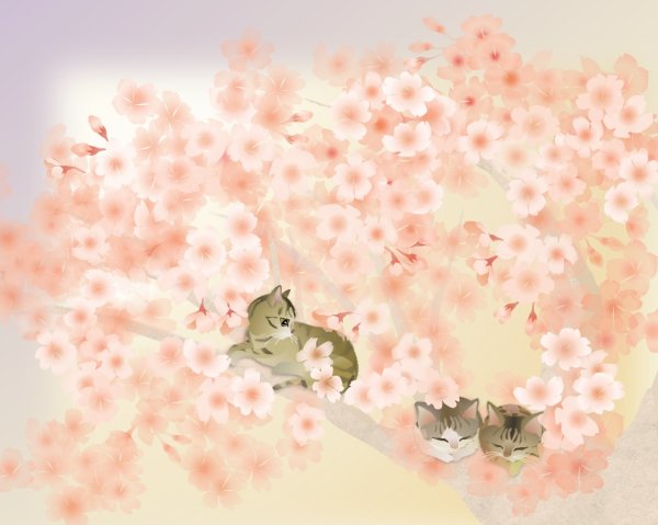 画像1: ６切イラスト＜桜　お昼寝＞ (1)