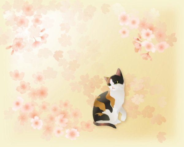 画像1: 6切りイラスト＜桜　三毛猫＞ (1)