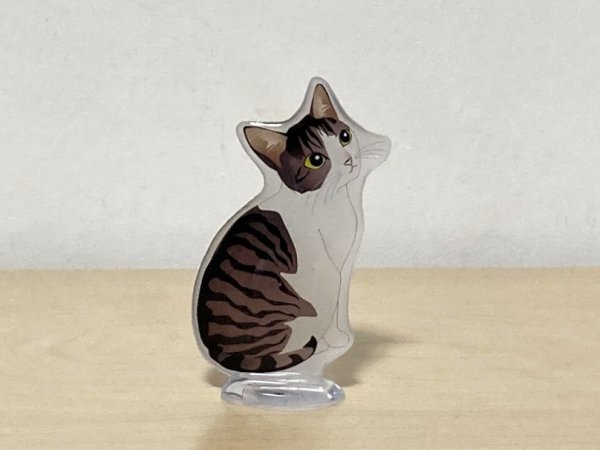 画像1: may's shop  縁側：猫のミニスタンド【サバ白1】 (1)