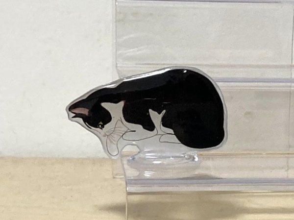 画像1: may's shop  縁側：猫のミニスタンド【ブチ2】 (1)