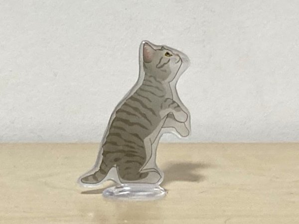 画像1: may's shop  縁側：猫のミニスタンド【グレー】 (1)