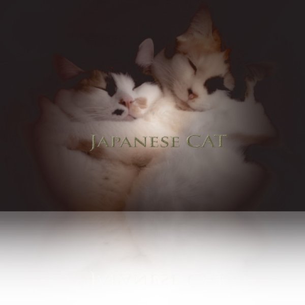 画像1: Japanese Cats (1)