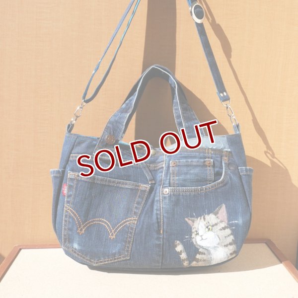 画像1:  ジーパンバッグ　直描き (1)