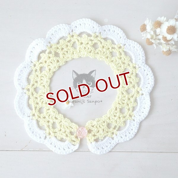 画像1: バイカラーのレース編み付け襟風首輪　イエロー（一部寄付） (1)