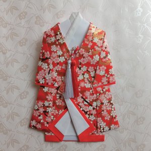 画像1: 晴空；結婚祝用お祝い袋【色打掛】 (1)