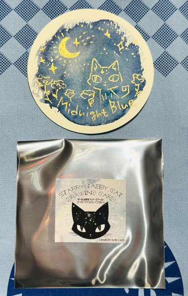 画像1: ゆーぽん：Starry Tabby Cat ラッキーカラー占いドローイングコースター(全額寄付） (1)