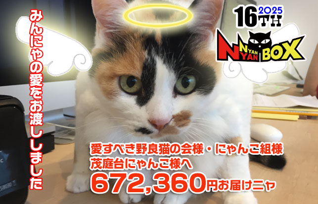 第16回にゃんにゃんBOX支援報告